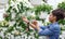 Comfortable work with smart technologies. Woman care and takes photos of flowers in greenhouse