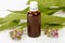 Comfrey Tincture