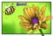 Comic Book Style Bee and Yellow Rudbeckia Flower