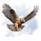 Comic Book Style Hawk In Flight Image By Travis Charest