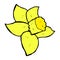 comic cartoon daffodil