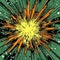 Comic Explosion Illustration On Green Background Vector In Hyperspace Noir Style