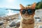 A comical moment of a funny looking cat wearing sunglasses lying on the beach