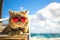 A comical moment of a funny looking cat wearing sunglasses lying on a sun lounger on the beach