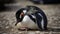 A comical penguin waddling on its belly created with Generative AI