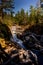 Coming down from the top - Englishman river falls, Vancouver Island, BC