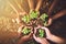 Coming together for the sake of our beautiful planet. Closeup shot of a group of unrecognizable people holding plants