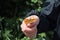 A comma butterfly perches on the hand of a young girl