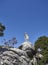 Commemoration statue for the Spanish Forestry Rangers in the Sierra de las Nieves Natural Park.