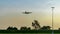 Commercial airline. Passenger plane landing above green trees at airport with beautiful sunset sky and clouds. Arrival flight.