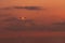 Commercial airline. Passenger plane landing at airport with beautiful sunset sky and clouds. Arrival flight. Airplane flying