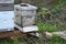 Commercial or backyard beekeeping, 7.