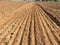 A commercial farm field seedbed