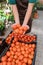 Commercial gardener showing tomatoes she grew