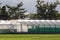 Commercial greenhouse polytunnel buildings with sunlight refecting off polythene roof