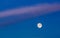 Commercial Jet Flying Across the Full Moon