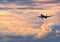 Commercial passenger airplane coming in for landing during color