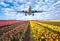 Commercial plane and tulips