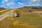 Commercial trucks on interstate 94 in North Dakota.