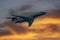 Commerical passenger airplane over the clouds with amazing sunset - Travel by air transport