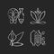 Common allergens chalk white icons set on black background