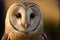 Common barn owl tyto albahead close up, digital illustration painting