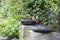 Common blackbird taking a bath in old teflon pan on the garden, two house sparrows waiting for free bathroom