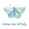 Common blue butterfly, hand painted watercolor illustration with inscription