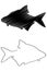 Common bream silhouette vector