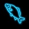 common carp neon glow icon illustration