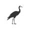 Common crane bird icon