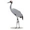 Common crane cartoon