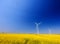 Common cranes on the sky. Rapeseed flowers and the background wind turbines.