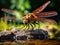 Common Darter Dragonfly  Made With Generative AI illustration