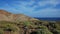 Common endemic flora such as Psammophytes, Euphorbias and other spurges covering the base of Montana Pelada, El Medano, Tenerife