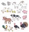 Common farm animals, family members with goats, chickens, ducks and other animals