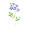 Common Flax or Linseed as Wildflower Specie or Herbaceous Flowering Plant Vector Illustration