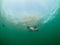 Common guillemot, Uria aalge. St Abb\\\'s Head & Eyemouth. Diving, Scotland