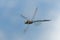 A common hawker dragonfly in flight on a sunny day in summer