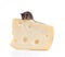 Common house mouse (Mus musculus) on a large piece of cheese. Is