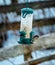 Common house sparrow , Passer domesticus eating from a garden bird feeder