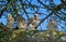 Common Kestrel, falco tinnunculus, Youngs ready to Fly, Normandy