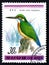 common kingfisher (Latin Alcedo atthis) on postage stamp printed in Korea