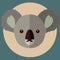 common koala herbivore mammal animal face