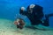 Common Lionfish (Pterois volitans) and Scuba Diver. Underwater p