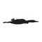Common Loon Gavia Immer Silhouette Vector Found In North America