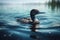 Common loon or great northern diver - Gavia immer. Duck loon bird animal swims on blue water in the river or lake. Generative AI