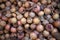 Common medlar Mespilus germanica, healthy organic food from nature, medlar. fresh organic medlars background texture. fruit.