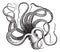 Common octopus Octopus vulgaris, vintage engraving