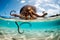 Common octopus Octopus vulgaris. Wildlife animal. Neural network AI generated